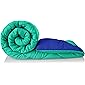 Amazon Brand - Solimo Microfiber Reversible Comforter, Double (Sea Green & Indigo Blue, 200 GSM)
