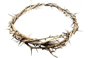Zuluf CROWN OF THORNS BETHLEHEM JERUSALEM HOLY LAND aprox 7.5" diameter Store HLG027