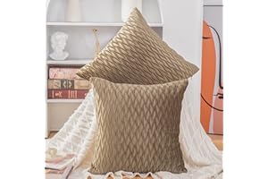 Madizz 2 Pezzi Federe in Velluto Copricuscini Morbido Decorativo Fodere per Cuscino Lusso Stile per Divano Camera da Letto Marron Chiaro Quadrate 50x50 cm