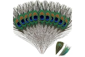 BVSRCP Pfauenfedern, 20 Stücke Schöne Natürliche Pfauenfedern, Pfau Schwanzfedern Augen Federn Dekorationen für Handwerk Party 25-30 cm