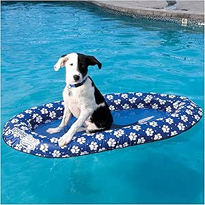 inflatable dog pool float