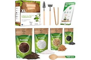 PYEF CRAFTS Kit Terrario Plantas DIY - Set Ecosistema Cerrado Plantas para Jardin en Botella (2-4) - Terrarium para Bosque Eterno de Interior - Sin Planta (Set sin Frasco, XL)