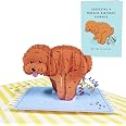 Central 23 Biglietto Compleanno Divertente 'Dim Sumbody Say Birthday' – 14,5x14,5 Cm Con Adesivi E Busta
