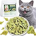 PAWSToyTechy Cat Hairball Treats, Kitty Teeth Cleaning Catnip for Indoor, 16 Oz, Fish Shape Cat Nip Dry Food, Healthy Chicken and Salmon Flavor Grass Biscuits