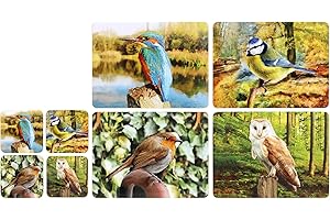 TAMERSGIFTS Sets of 4 Placemats with 4 Matching Coasters (Garden Birds Table Mats Coaster Set)