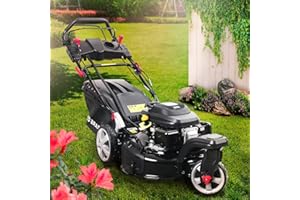 BRAST tondeuse thermique 3 roues TRIKE ESTART SPEED 224cc 53cm tractée démarrage électrique vitesse d'entraînement triple réglable mulching 4en1 capot en tôle en acier 60l - moteur 4 temps reglable