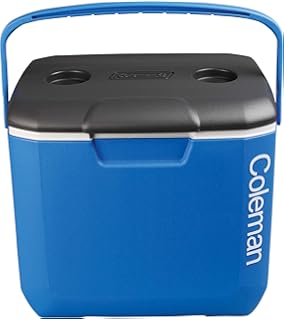 home bargains cool box