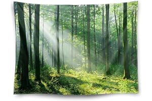 GENERIC Green Misty Forest Tapestry Wall Hanging Nature Landscape Tapestry Sunshine Through Tree Tapestries for Bedroom Living Room Dorm Decor, M 59' ( L ) x 51' ( W )