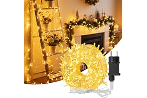 Hoteril Luci Natale Esterno, 33M 300 LEDs Luci Albero di Natale Impermeabile, Lucine da Esterno Giardino per Adatto a Giardino, Feste, Natale, Natalizie Albero, Nozze (Bianco caldo)