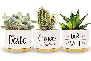 Darlena Beste Oma der Welt | Oma Geschenk, Geburtstagsgeschenk | Kräutergarten Geschenke für Oma zum Geburtstag, Muttertag oder Weihnachten | Blumentöpfe zum Bepflanzen
