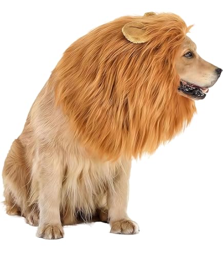thumbnail image 2 of Niktule Cat Lion Mane, Lion Mane Dog, Dog Hat Lions Mane Cat Costume, Lion Mane Wig For Pet Cat Costume, Smooth, Washable Costume Hat With Lion Hair 2 of 10