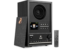 Audizio Canzo - Radio por Internet Dab+ FM con Bluetooth 5.3, USB, Altavoz 40W, Pantalla LCD a Color, WiFi y LAN RJ45, Panel extraíble, Entrada Auxiliar, Mando Incluido, Color Gris Oscuro