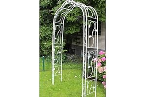 HAFIX Arche de Rose XXXL - Treillis pour rosiers grimpants Cadre Rose Rang Cadre XXL Rose Arc (Marseille)