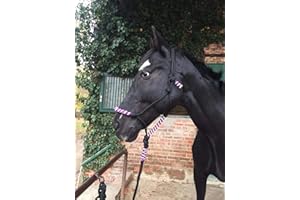 PFERDELINIS Cavezza con nodo a maglia per cavalli, Imbottita su naso e collo, ideale per lavori di terra, formazione di cavalli, allenamento (nero-viola)