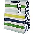 Hallmark Large Multi-Occasion Gift Bag - Blue and Green Striped Design