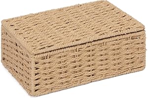 Arpan Natural Paper Rope Storage Basket Box With Lid (Small)