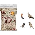 Egardenkart® Daily Budget-Friendly Wild Bird Feed for All types of Wild Birds Small Birds Dove Pigeon Myna Lark Bulbul Sparrow Hoopoe Seed Mix (1)
