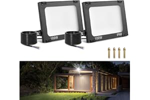 Viugreum 2 Pcks 100W Foco Led Exterior, 10000 Lumen Foco Proyector LED 100W, IP65 Impermeable Luz de Seguridad, Blanco Frío 6500K Led Floodlight para Jardín, Taller, Garaje