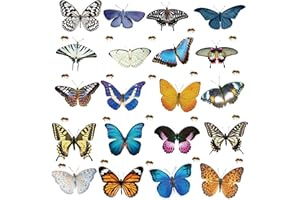 Hayaww 40 Adesivi Per Finestre Anti Uccelli Adesivi Finestra Anti-Collisione Prevenire Attacchi Di Uccelli Anticollisione Decalcomanie Protezione Contro Gli Uccelli Per Cucina Della Camera Letto Bagno