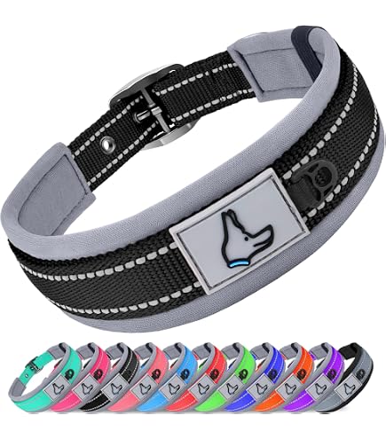 Ferplast CLUB Nylon-Halsband Für Hunde – Verstellbar, Robust, In Verschiedenen Größen Und Farben