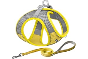 AIITLE No Pull Hundegeschirr, Step in einstellbares Hundegeschirr mit gepolsterter Weste, Hundeleine mit weichem gepolstertem Griff, leicht anzulegen für kleine und mittlere Hunde Gelb S