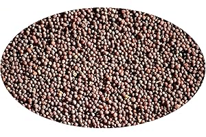 ‎EDER GEWÜRZE Eder Gewürze - Senfkörner braun/Braunsenfsaat - 1kg Gewürze