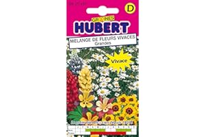 Mélange de Graines de Fleurs Vivaces "Grandes" - 1 gramme