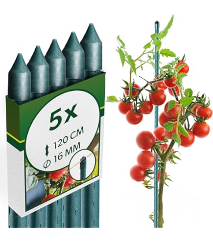 Kaszinó játékok bőséges választéka