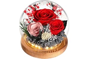 WYRIAZA Ewige Rose im Glas Geschenke für Frauen Mama Frau Freundin Ehefrau, Muttertagsgeschenk Geburtstagsgeschenk Geschenke für Weihnachten Valentinstag Muttertag Geburtstag