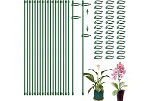 Ambolio Tuteurs pour Plantes 54PCS Bâton de Plante Tuteur Orchidee tuteur Plante Interieur tiges de Plantes Clips Piquets de Plantes tuteur Orchidee Fixation de Croissance des Plantes