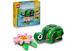 Turtle With A Water Lily Flower 31377
