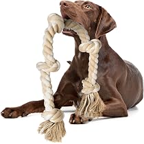 Wolters Cat&Dog Professional Führleine – Größe XL, 300 Cm Lang, 25 Mm Breit, Schwarz, Doppellagig