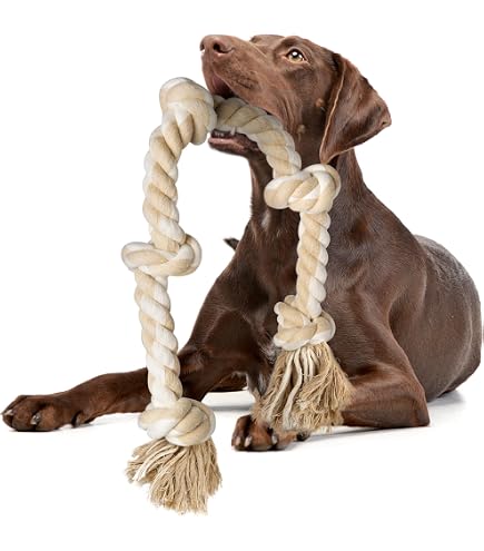 Sprenger Hundehalskette Aus Edelstahl – 2-reihig, Matt, 3,0 Mm Stark, Mit Durchzugskette, 50 Cm, Für Kurzhaarige Hunde