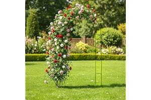 Gegaden Rosenbogen aus Metall Stabil Wetterfest Garten Rankgitter, Rosenhilfe aus Pulverbeschichtetem Stahl, Gartenbogen für Kletterpflanzen, 240 x 140 x 37 cm Schwarz