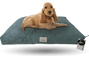 Ligo Tommy Elegance - Cuscino Materasso per Cani in tessuto Realizzato artigianalmente in Italia. Cuccia lettino Materassino per Cane Sfoderabile Lavabile.(M: 100 x 60 cm, SOFT VERDE)