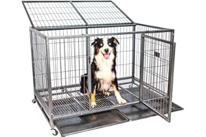PAITSY Cage pour Chien intérieur et extérieur MouvedyXL, 123x79x84cm, Caisse de Transport, Roues verrouillables, Pliable, 2 Portes, Plateau Amovible