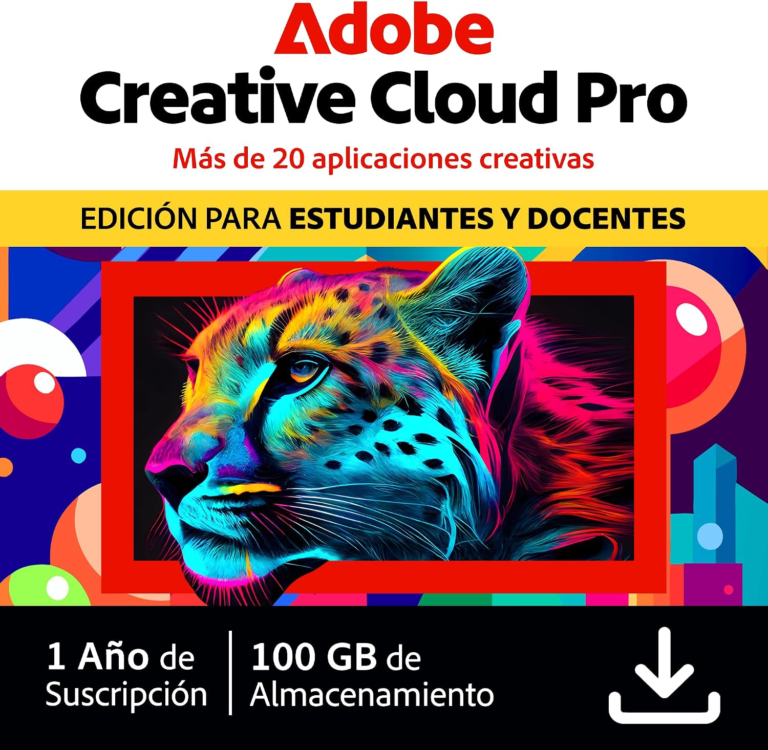 Vue 10