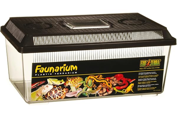 Exoterra Terrarium Polyvalent pour Reptile/Amphibien 36 x 21 x 16 cm