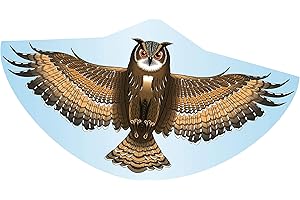 GÜNTHER FLUGSPIELE Paul Günther GmbH & Co. KG 1193 latawiec dziecięcy z motywem sowy, wkładany latawiec z wytrzymałej folii PE z regulowaną wagą smoka, dla dzieci od 4 lat, z uchwytem do nawijania, rozmiar ok. 122x68 cm