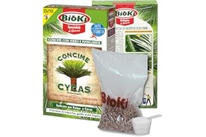 ANTIKA OFFICINA BOTANIKA CONCIME CYCAS CON MANGANESE E FERRO AD ALTA EFFICENZA, ASTUCCIO 900 G COMPLETO DI MISURINO GRADUATO