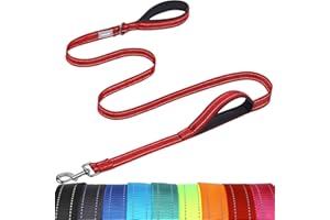VIVAGLORY Twingrip Dog Lead, Double Handle Dog Lead for Training & Walking with Traffic Handle & 2 Loop, Traffic Control Reflective Heavy Duty for Puppy Pet, 1.2m x 2.5cm, Red