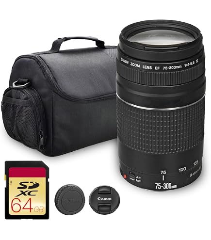 Canon EF-S 55-250mm f/4-5.6 IS STM Lens | Compact Telephoto Lens