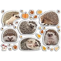 Feuille D'autocollants A5 En Vinyle Motif éléphants – Animaux