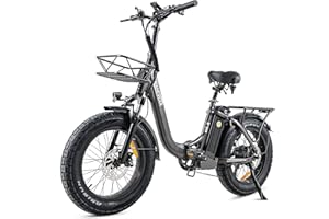 ‎HANEVEAR HANEVEAR Elektrofahrräder 20 Zoll E Bike Klapprad Pedelec 24Ah/48V Lithium-Akku | bis zu 140km, 250W Heckmotor, Hydraulische Bremse, Elektrofahrrad Trekking/City Pedelec für Damen und Herren