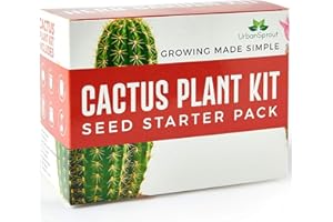 URBAN SPROUT Cactus Grow Kit - Grow Your Own Cactus from Seed - Sustainable Eco Gardening Gift Set with 5 Cactus Seed Varieties and Cactus Starter Kit Tools