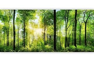 murando Fotomurales Bosque 550x250 cm XXL Papel de esquina Papel pintado tejido no tejido Decoración de Pared decorativos Murales moderna de Diseno Paisaje Panorama c-A-0058-a-b