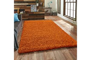 BPIL Unique Modern Large Small Non-Shedding Shaggy Rugs Soft Thick Pile Rectangle Orange Color Rug (60x110cm)