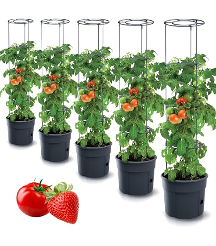 Produktbild von CIYODO 2 Stück Anzuchtplatten Robustem Kunststoff Belüftet Und