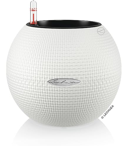 RIVIERA - Tagliavasi - granito D40 - bianco | Leroy Merlin