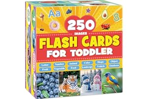 BSENHE 250 First Words Flashcards Images, Thick Flash Cards for Toddlers Age 1 2 3, 125 Double Sided Learning Cards Baby Flash Cards Letters Numbers Colors Shapes Animals Landscapes Fruits Vegetables Foods